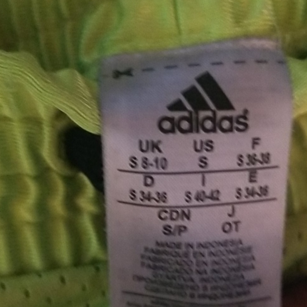 Shorts - Picture 8 of 8